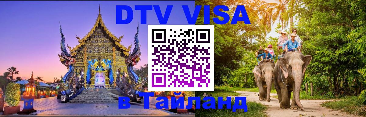 Оформление DTV визы под ключ: стоимость и тарифы, только загранпаспорт - Минск 